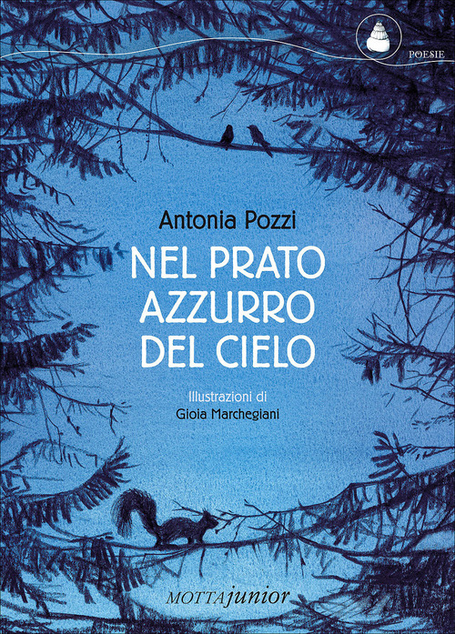 Foto non presente