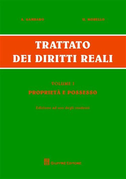 Trattato dei diritti reali