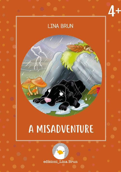 A misadventure
