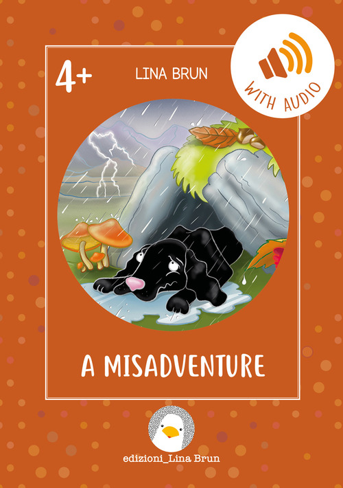 A misadventure