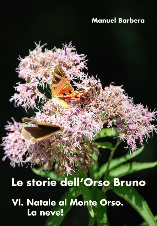 La Divina Commedia