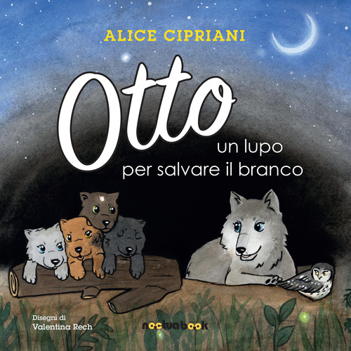 Foto non presente