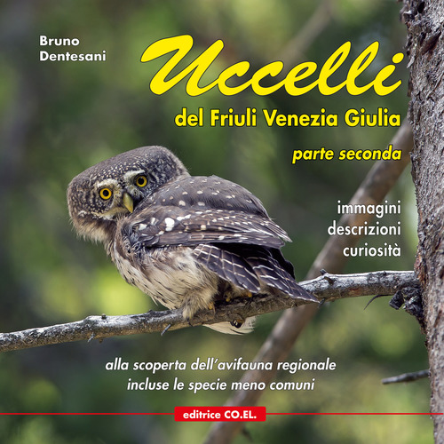 Uccelli del Friuli Venezia Giulia. Immagini, descrizioni, curiosità. Percorsi ornitologici alla scoperta dell'avifauna regionale. Volume Vol. 2