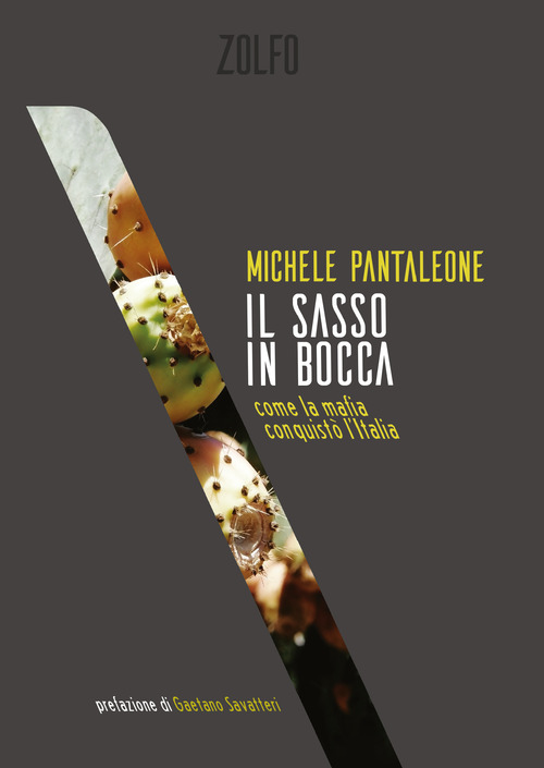 Il sasso in bocca. Come la mafia conquistò l’Italia
