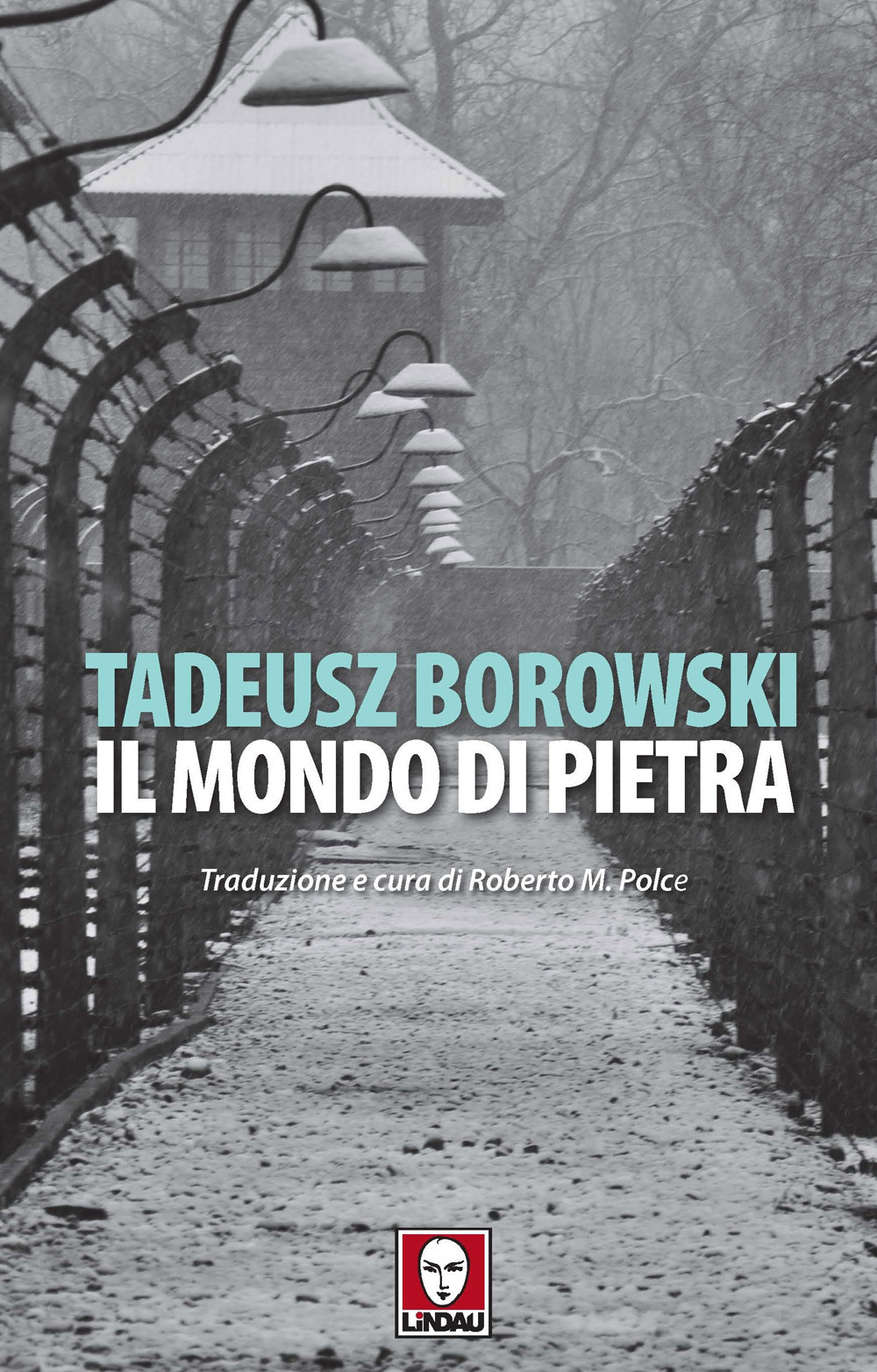 MONDO DI PIETRA (IL) - 9788833537351