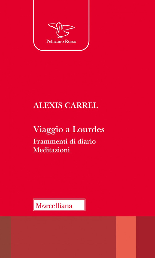 Viaggio a Lourdes. Frammenti di diario. Meditazioni