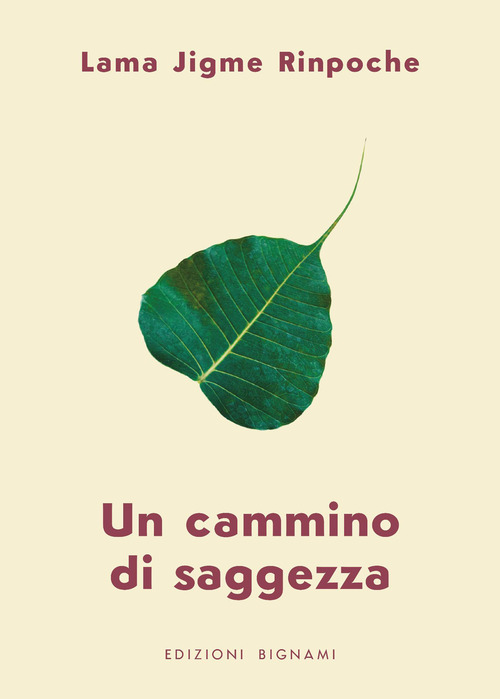 Un cammino di saggezza