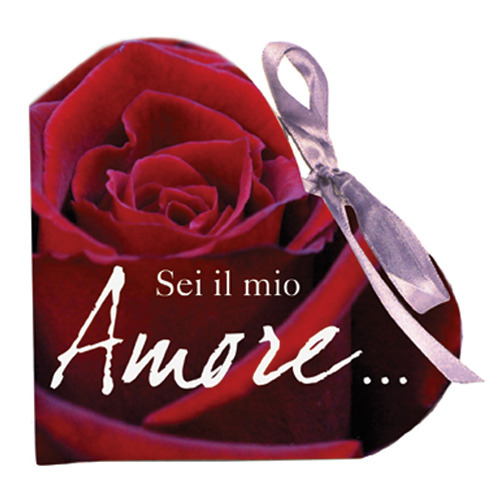 Sei il mio amore...
