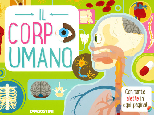 Il corpo umano