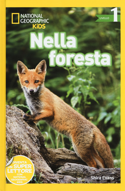 Nella foresta. Livello 1