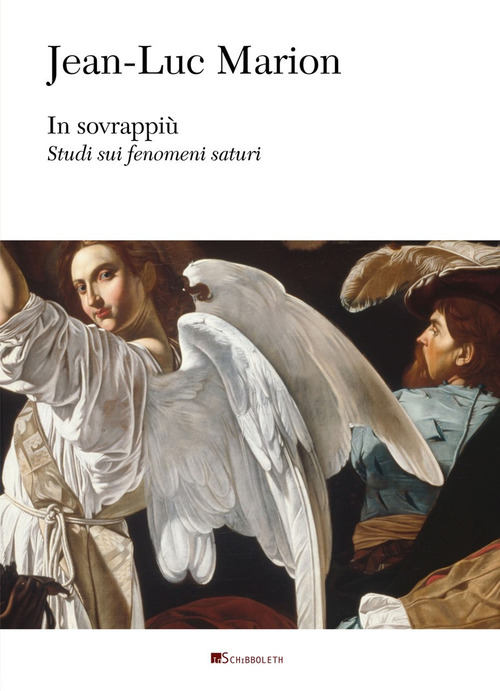 In sovrappiù. Studi sui fenomeni saturi