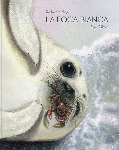 Foto non presente