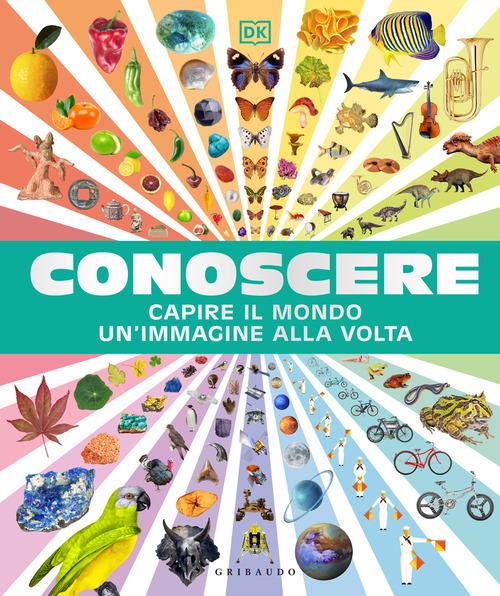 Conoscere. Capire il mondo un'immagine alla volta