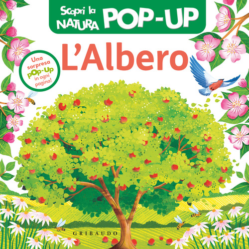 Alberi scopri la natura pop up