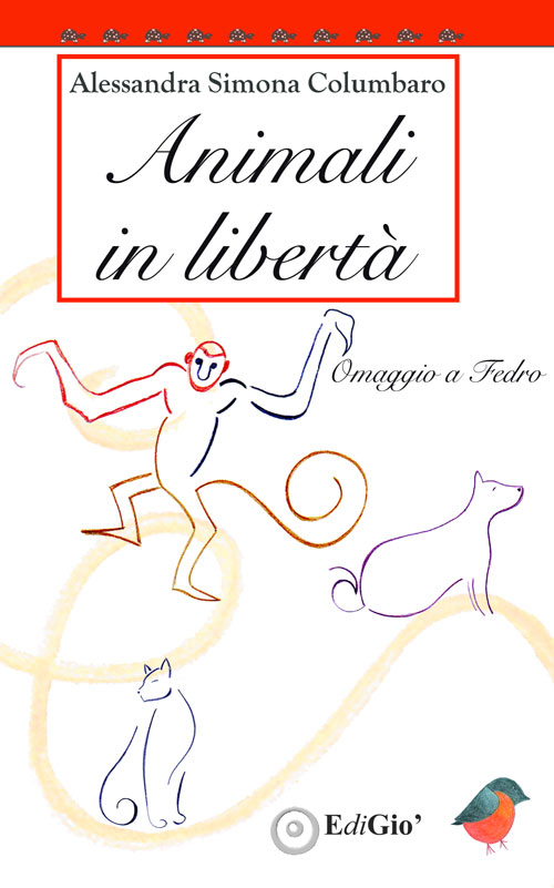 Foto non presente
