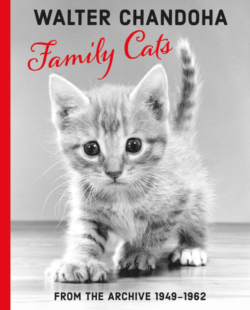 Family cats. From the archive 1949-1962