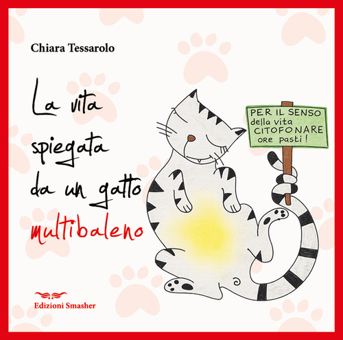 La vita spiegata da un gatto multibaleno