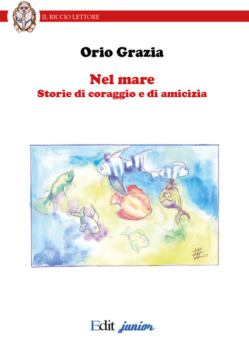 Foto non presente