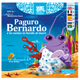 Paguro Bernardo e la casina in fondo al mare