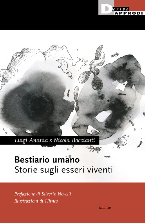 Foto non presente
