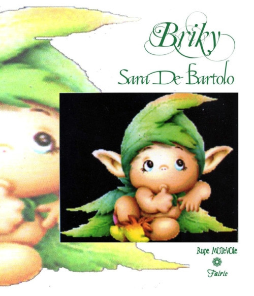 Briky