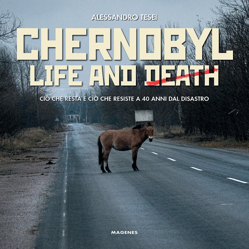 Chernobyl life and death