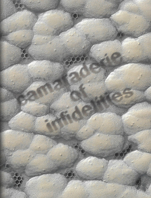Camaraderie of infidelities