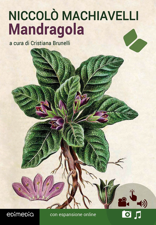 Mandragola
