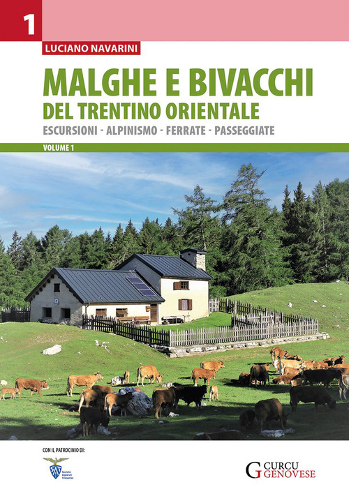 Malghe e bivacchi del Trentino orientale. Escursioni, alpinismo, ferrate, passeggiate. Volume Vol. 1