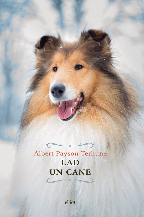 Lad. Un cane