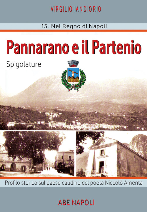 Pannarano e il Partenio: spigolature. Profilo storico sul paese caudino del poeta Niccolò Amenta