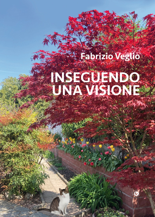 Inseguendo una visione