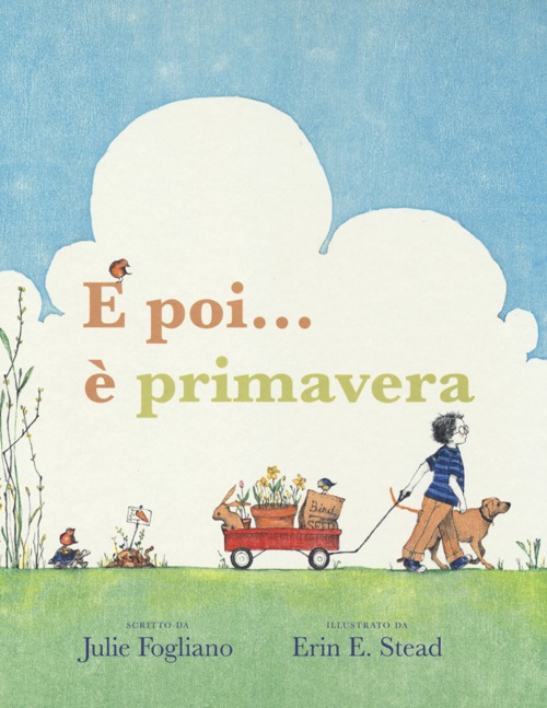 Foto non presente
