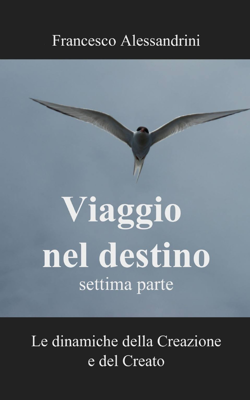 Viaggio nel destino. Volume 7