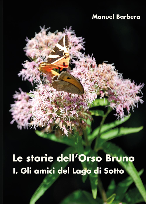 La Divina Commedia