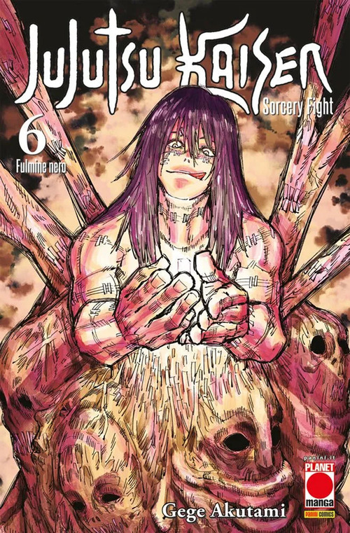 Jujutsu Kaisen. Sorcery Fight