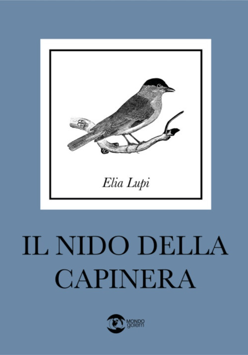 Foto non presente