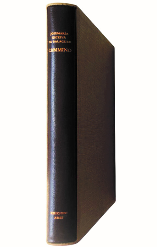 Cammino