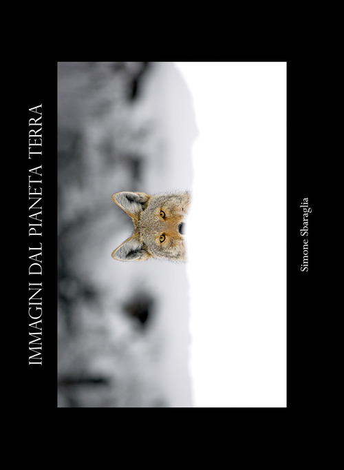 Immagini dal pianeta Terra