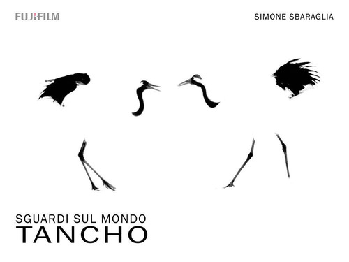 Sguardi sul mondo: Tancho