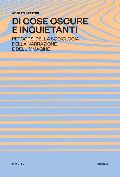 Di cose oscure e inquietanti. Percorsi della sociologia della narrazione e dell'immagine
