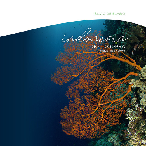 Indonesia sottosopra