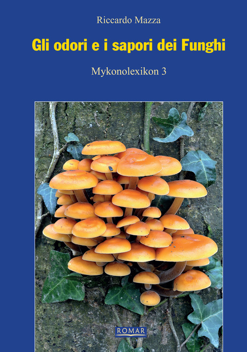 Gli odori e i sapori dei funghi