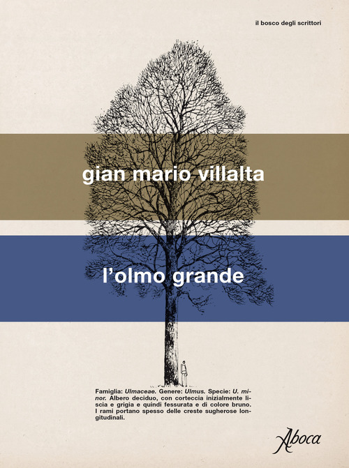L'olmo grande