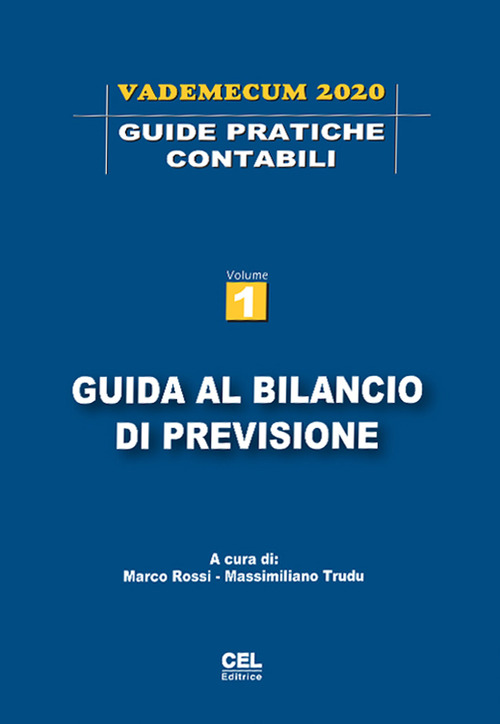 Guida al bilancio di previsione. Vademecum 2020. Volume Vol. 1