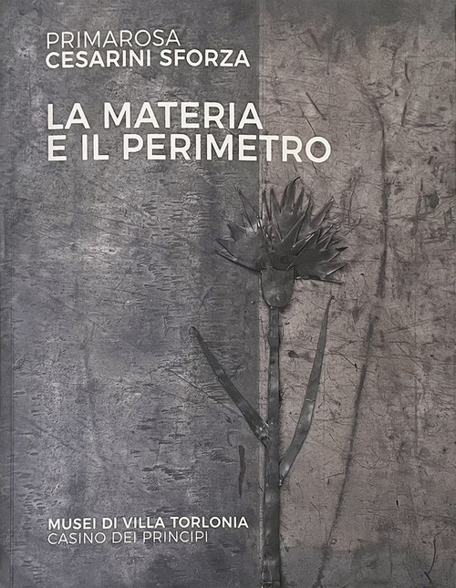 La materia e il perimetro. Primarosa Cesarini Sforza