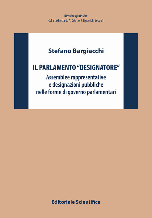 Il Parlamento «designatore». Assemblee rappresentative e designazioni pubbliche nelle forme di governo parlamentari