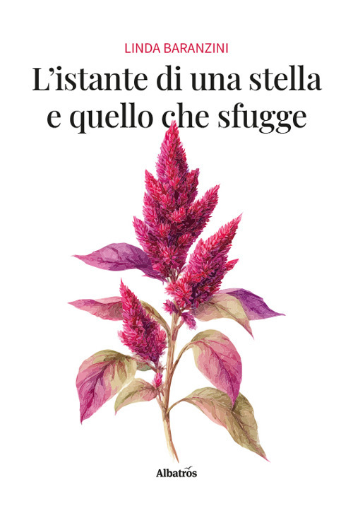 L'istante di una stella e quello che sfugge