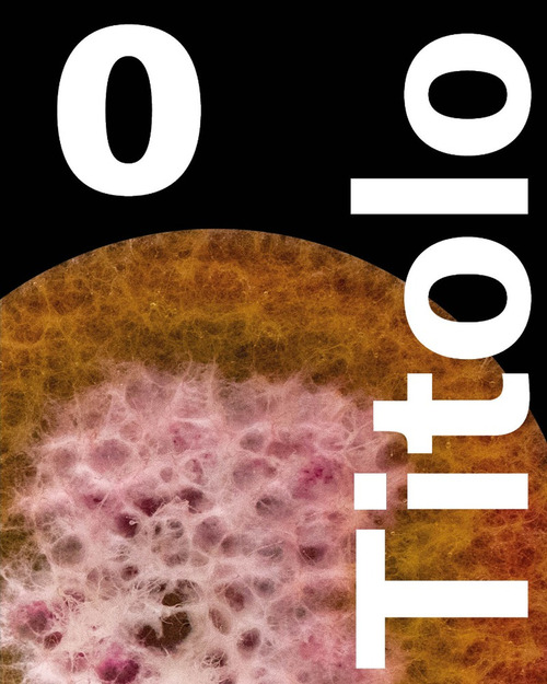 Titolo 0. Forma Formae di Raimondo Coppola