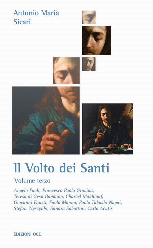 Il volto dei santi. Volume Vol. 3